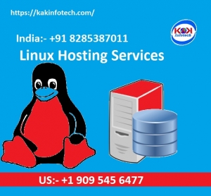 Linux Hosting Services Provider in India